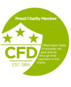 CFD Logo